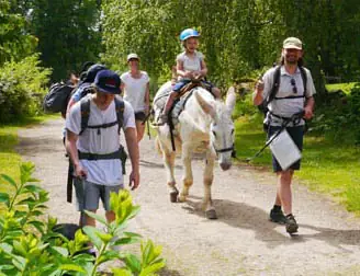 Ferme pédagogique Les Ânes de Vassivière