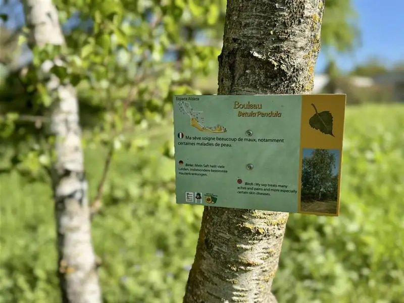 Sortie nature sur le sentier botanique