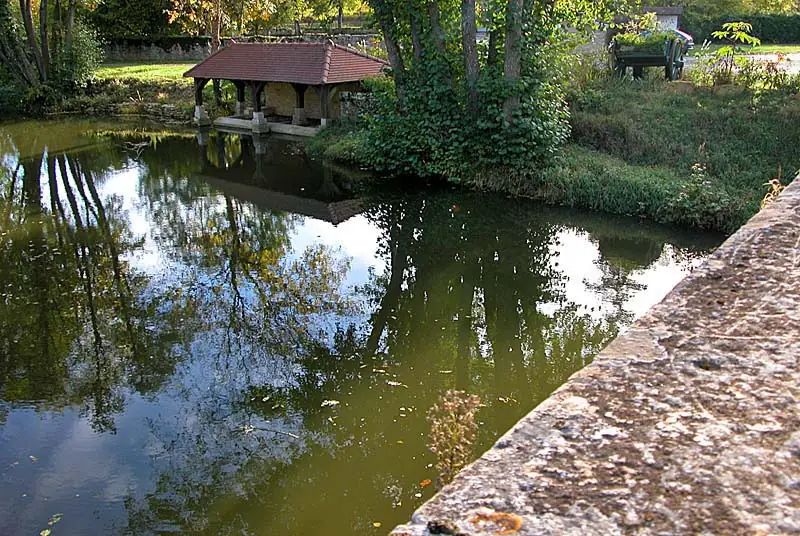 Lavoir au fil de l'eau N°1 à Dommarien