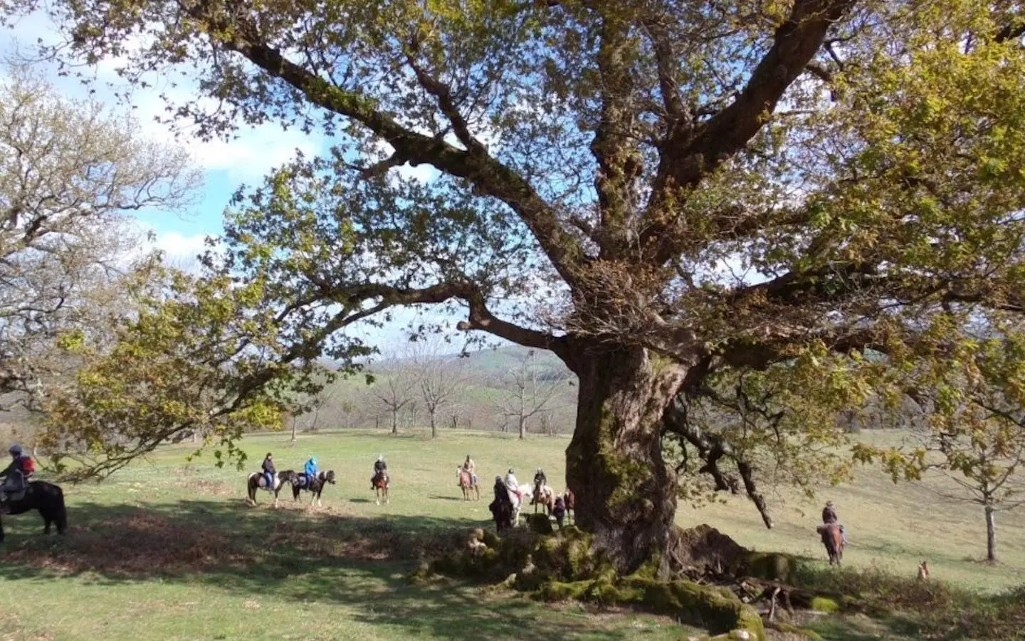 Visite guidée : L'histoire et le patrimoine d'Ostabat