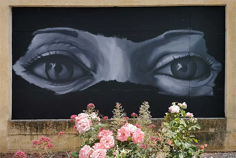Les Yeux de Laurette