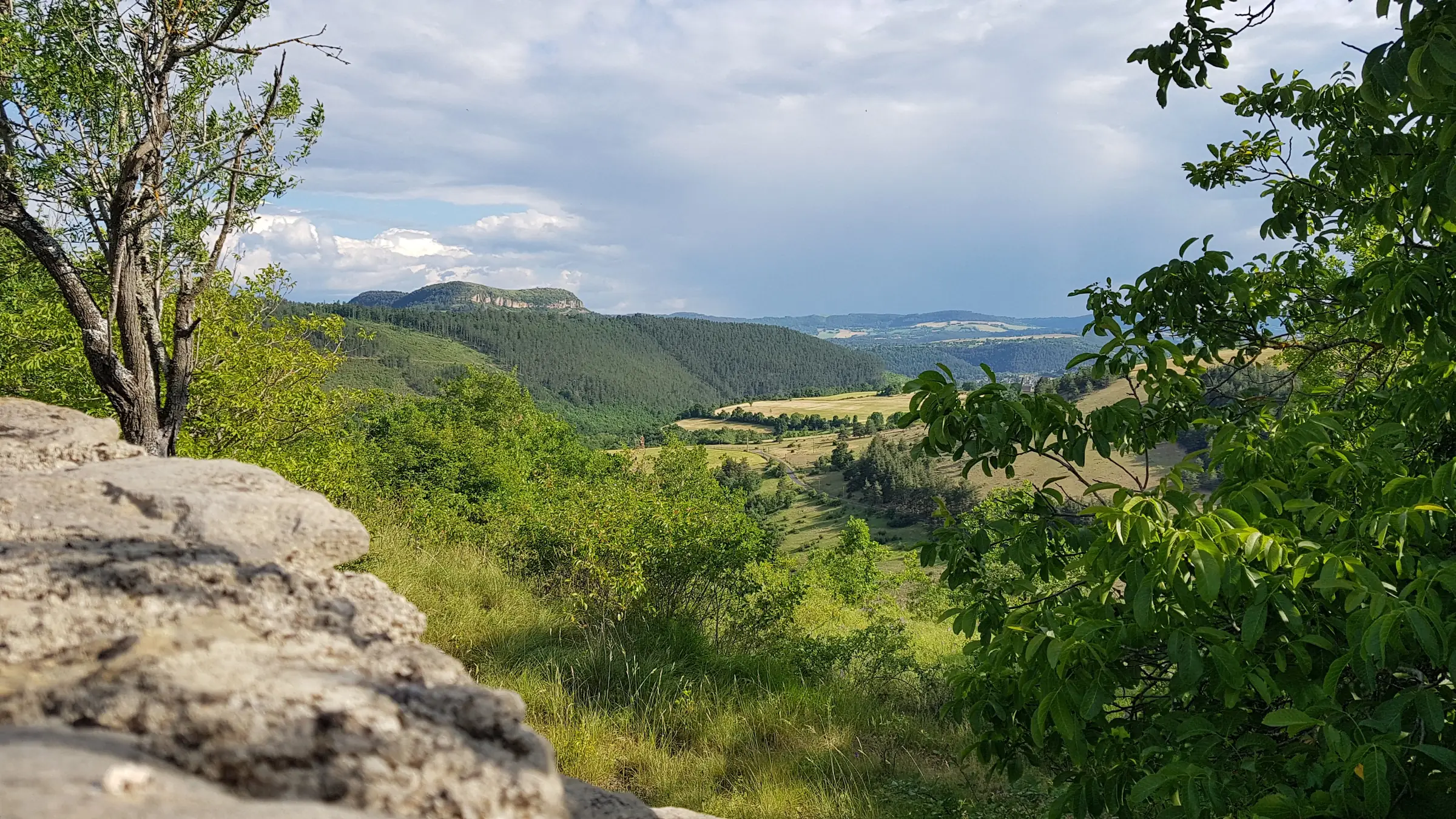 PLATEAU DE LA CHAM