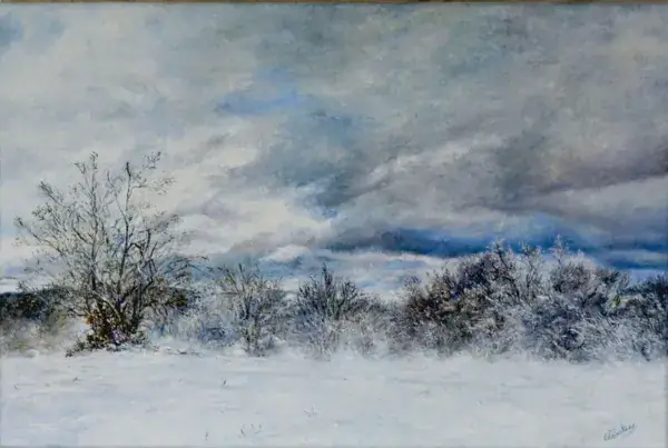 Exposition de Cathy Cavalier