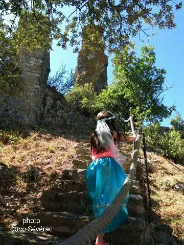 Château de Peyrelade