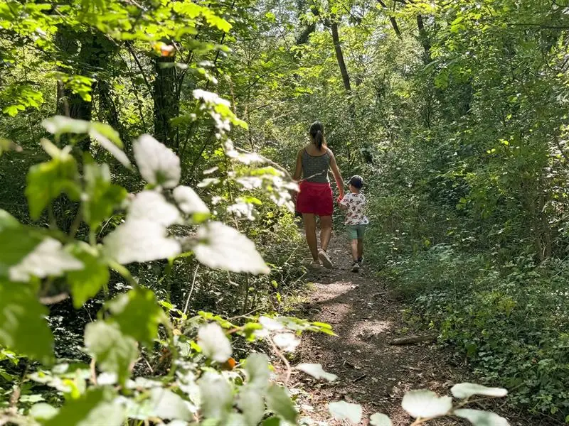Sortie nature sur le sentier du Bischenberg