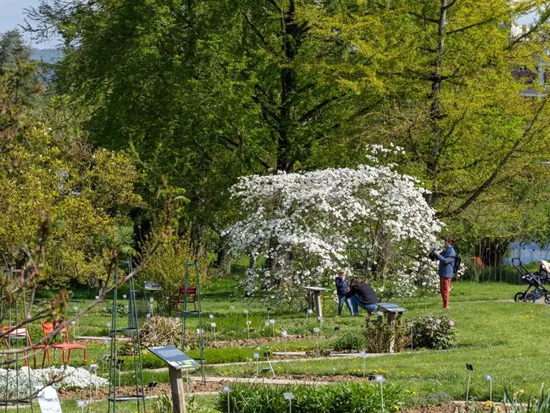 Jardin botanique Jean-Marie Pelt