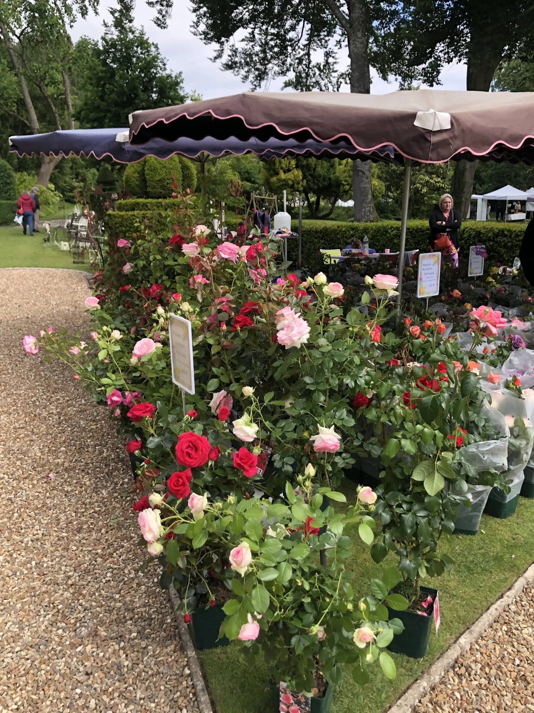 Marché aux plantes et produits du terroir