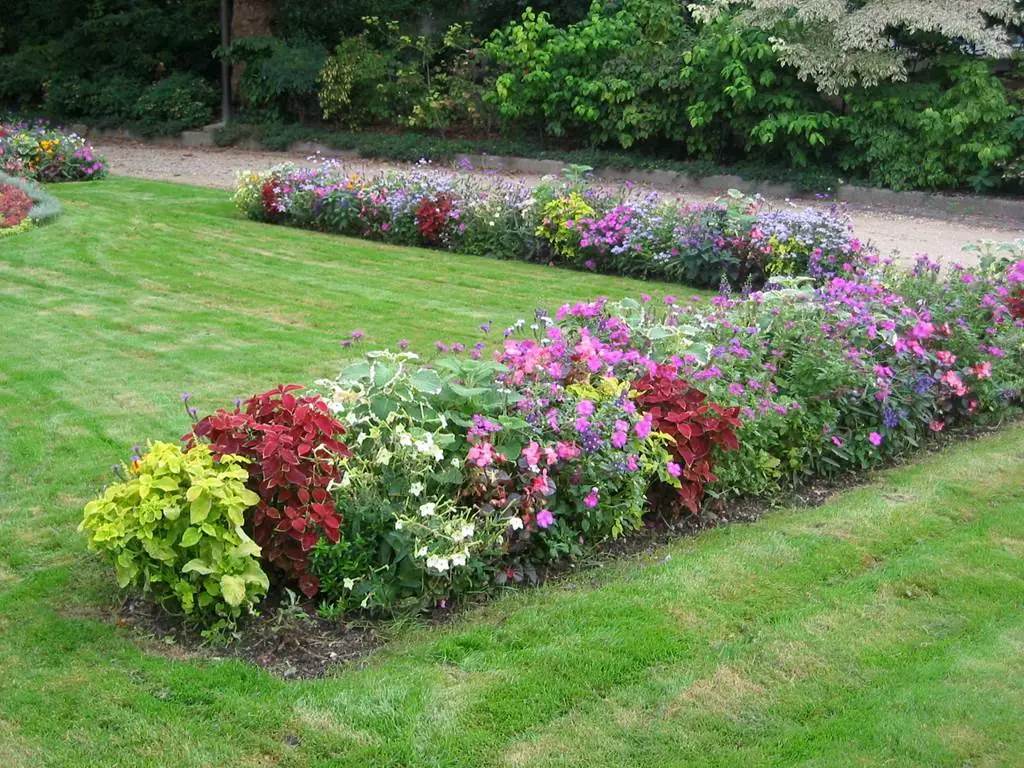 SEDAN, Ville Fleurie "3 Fleurs"