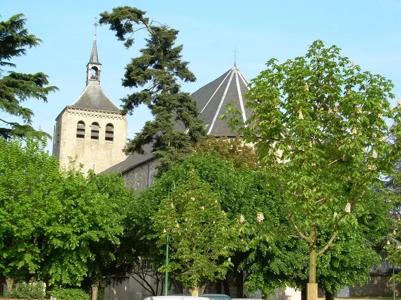 Collégiale église Saint-Etienne de Jargeau