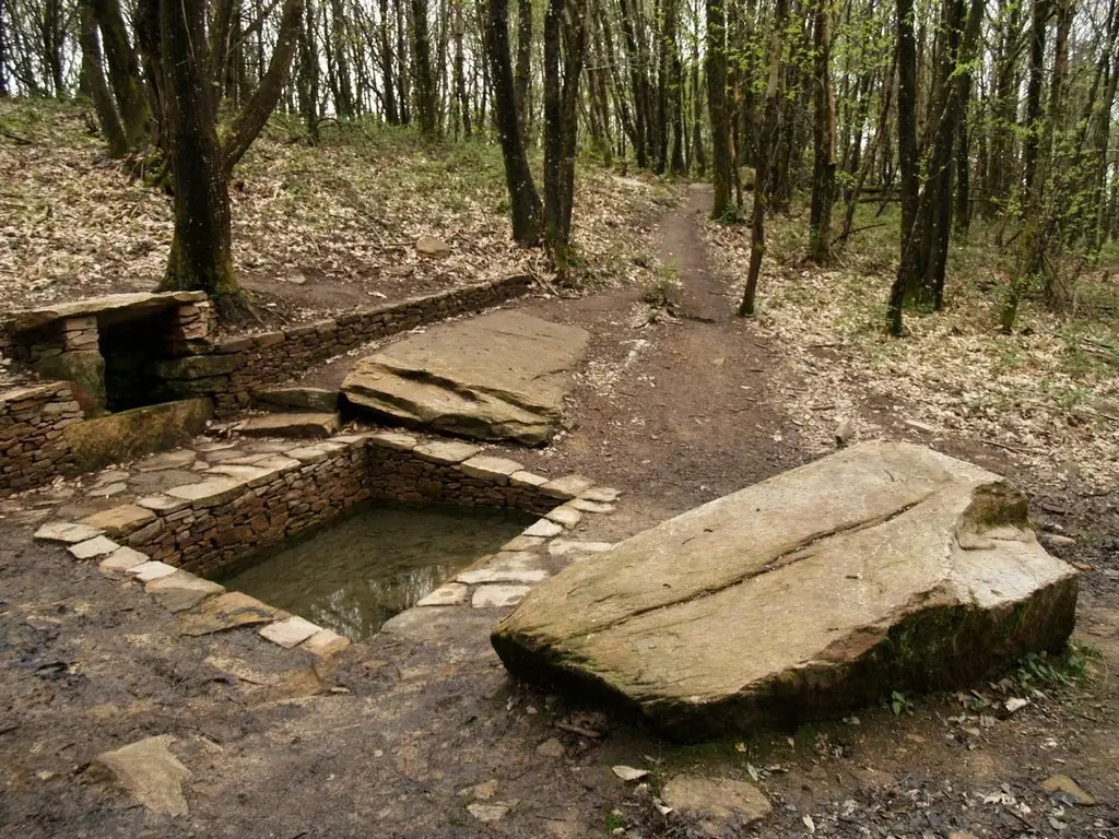 Roche Bergère