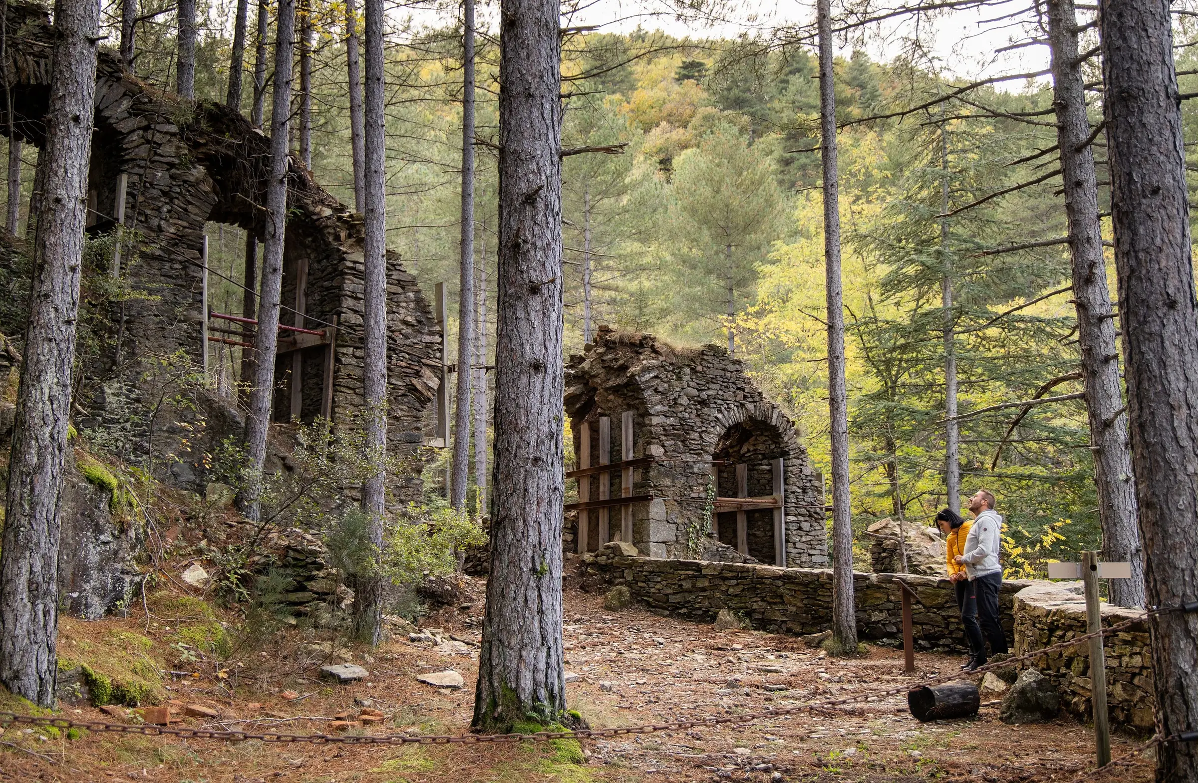 ANCIENNE MINE D'ARGENT DU BOCARD