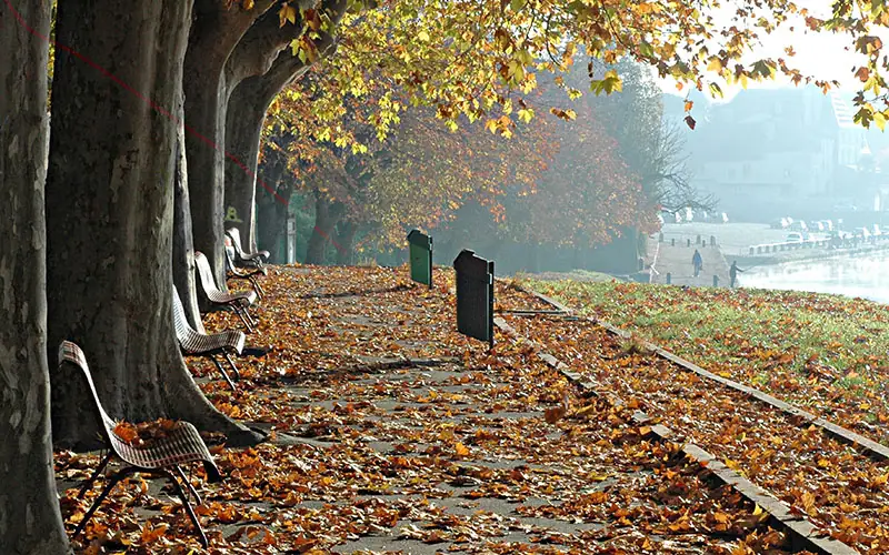 Ville d'Art et d'Histoire de Bergerac