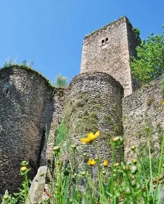 CHATEAU DE BELCASTEL (groupes)