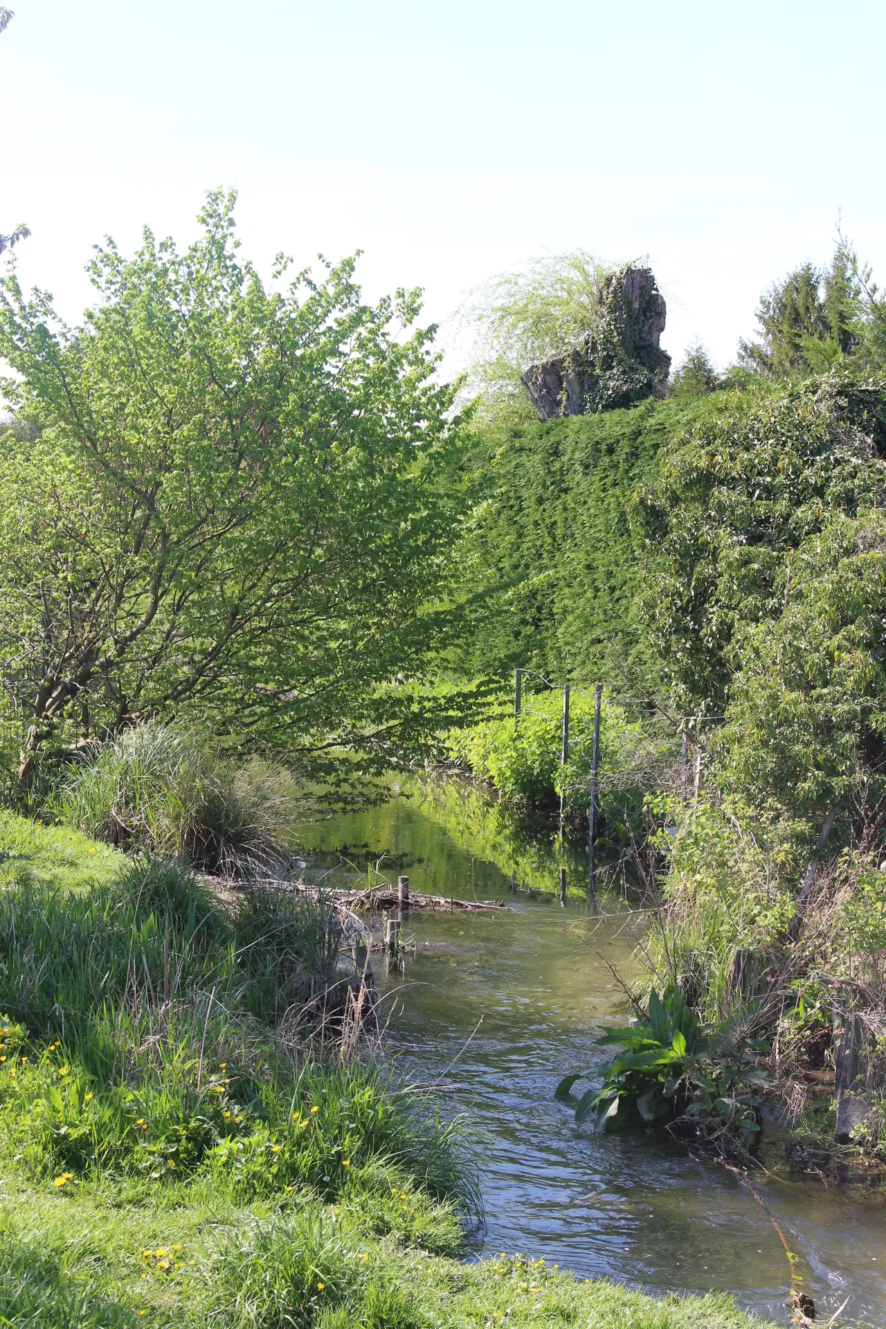 Flânerie - Le jardin médiéval de Rachi