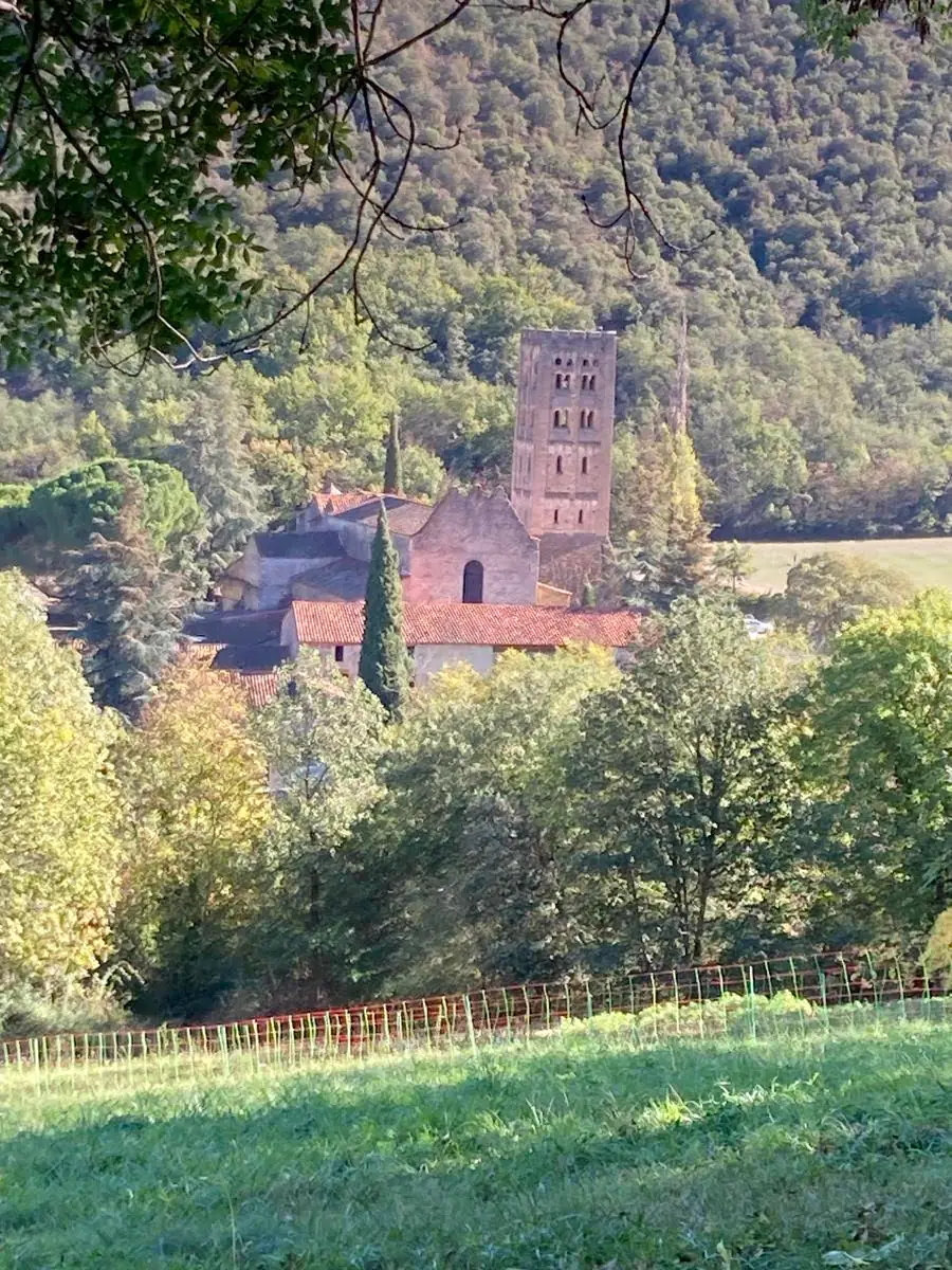 RANDO ACCOMPAGNEE : LE CANAL DE BOHERE ET L'ABBAYE SAINT-MICHEL DE CUXA