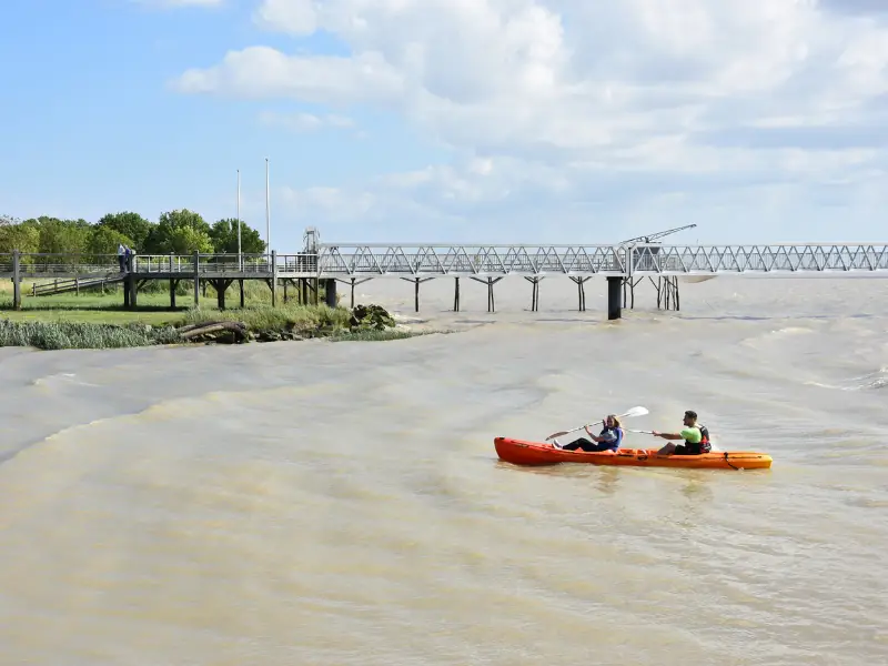 Sortie kayak à Terres d'Oiseaux