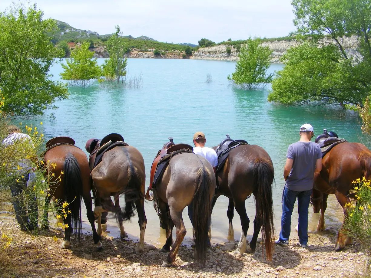 Randonnée à cheval en pension complète ou à la journée aux Ecuries du Petit Roman