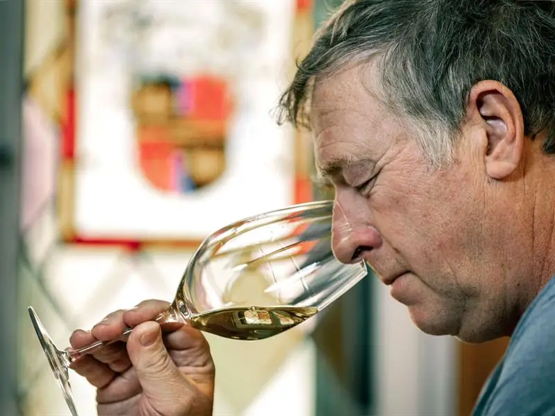 Parenthèse Vigneronne : Les terroirs de Grands Crus