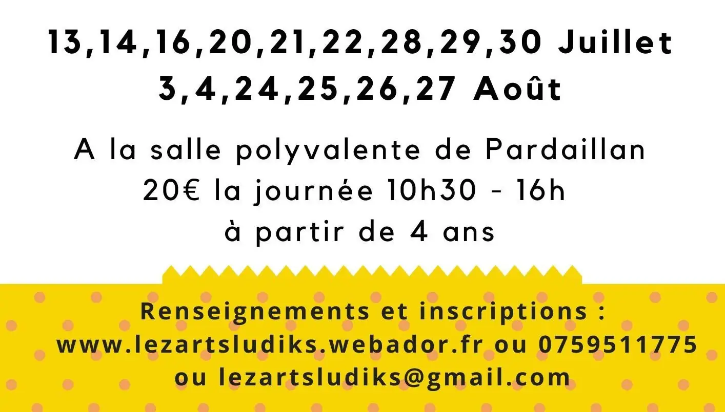 Stage des arts du cirque avec Lezarts Ludiks
