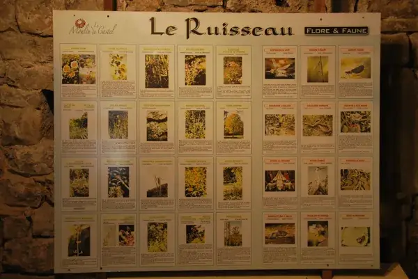 Le Moulin de Castel (groupes)