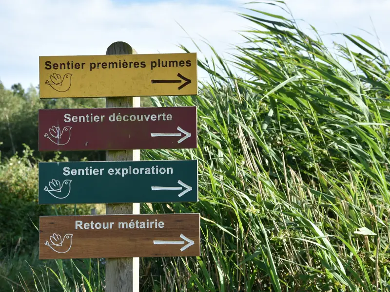 Samedi comptage à Terres d'Oiseaux