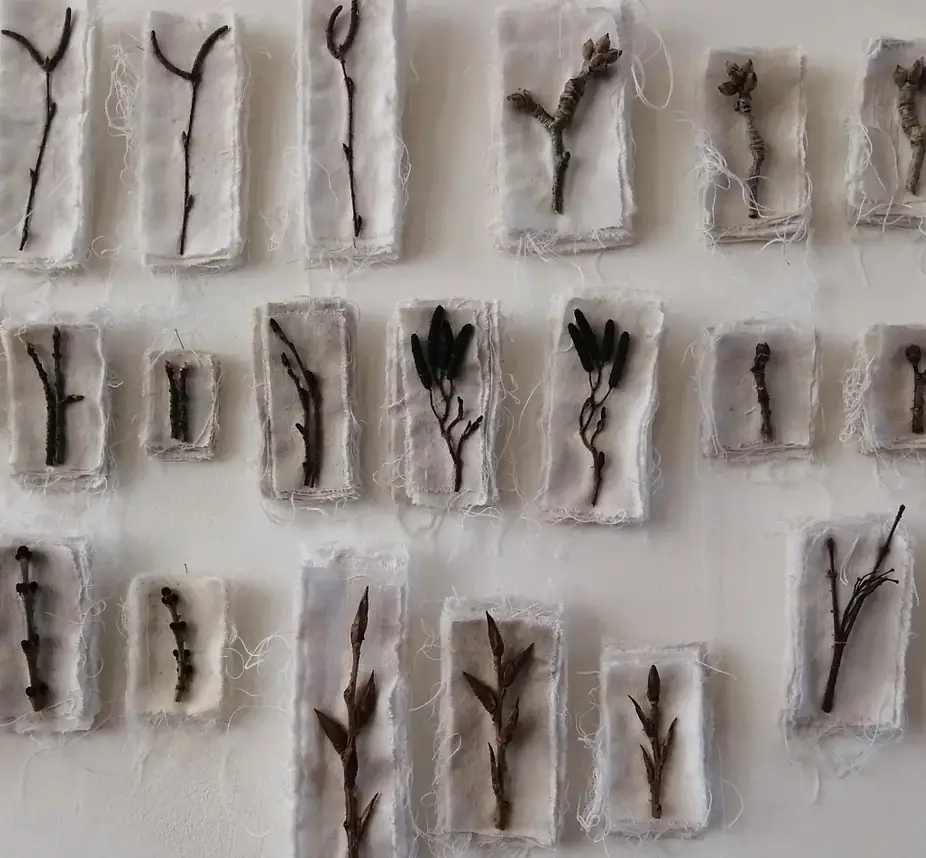 Exposition : Lydie Clergerie