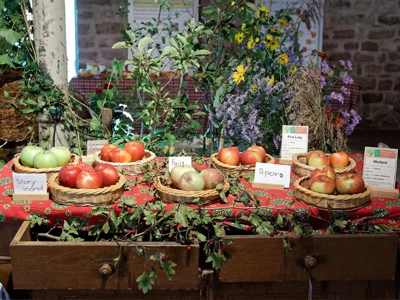 Au nom de la pomme