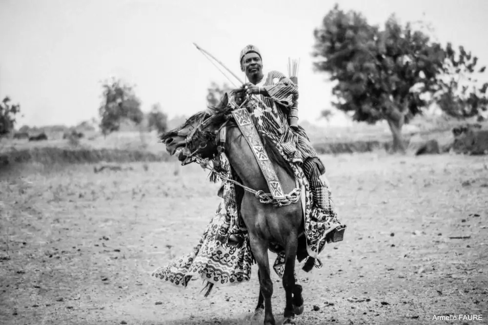 Africajarc, les  expositions !