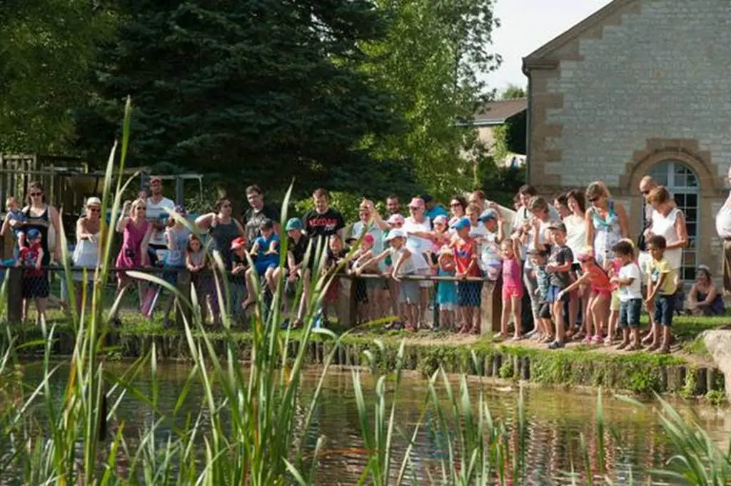 Domaine de Vendresse