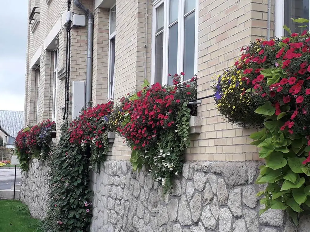 Saint-Loup-en-Champagne - Village Fleuri "1 fleur"