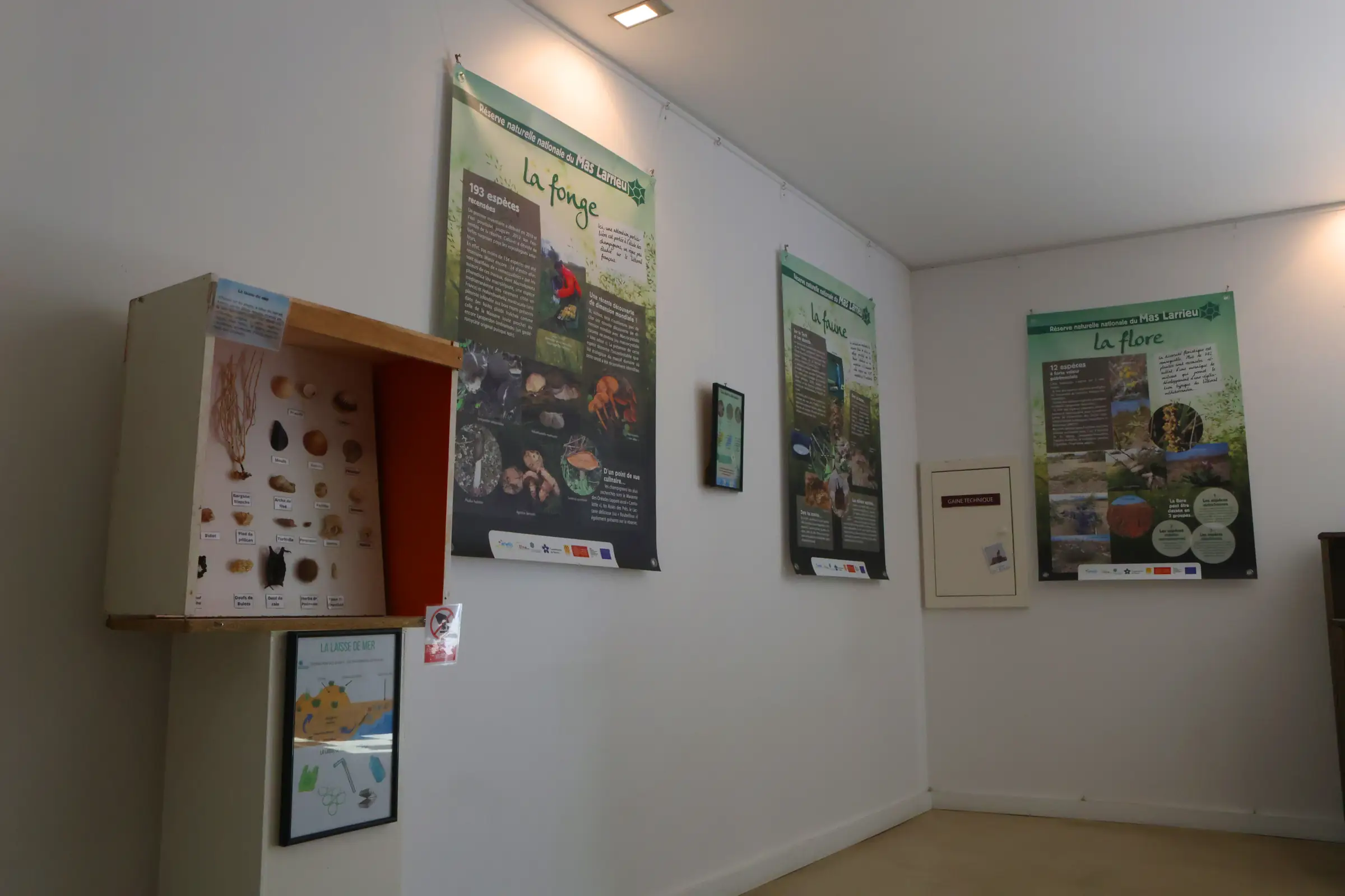 CASA DE L'ALBERA MAISON DU PATRIMOINE