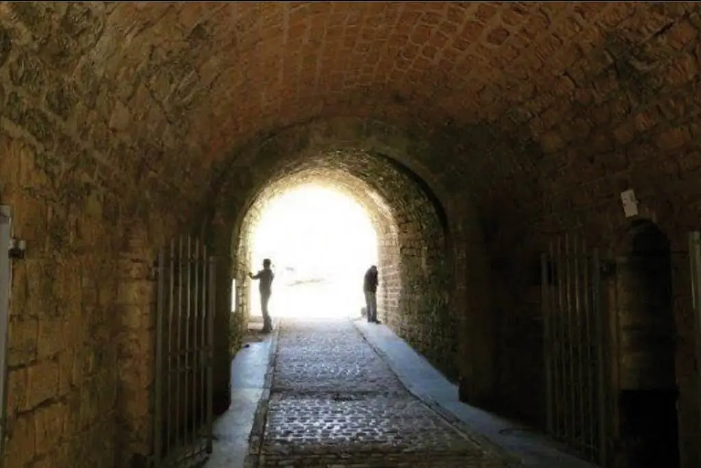 Domaine et Fort des Ayvelles