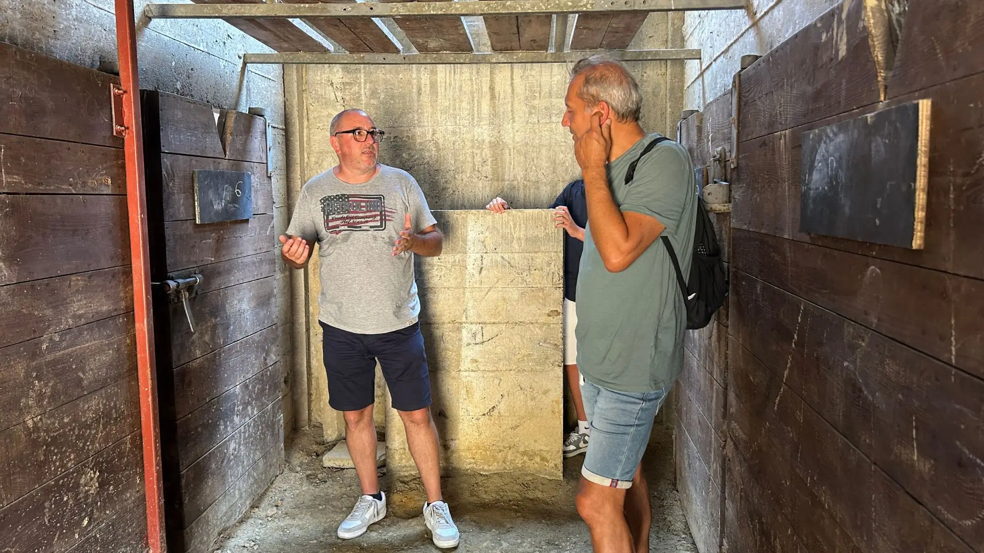 Visite guidée des arènes