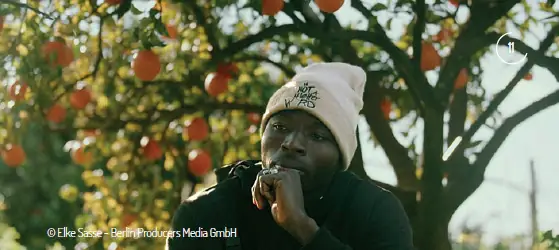 Projection/débat : The Pickers