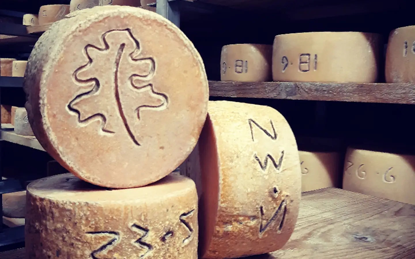 Visite de la ferme Ametzalde (fromage de brebis Ossau Iraty, miel et charcuterie BIO). Sur réservation
