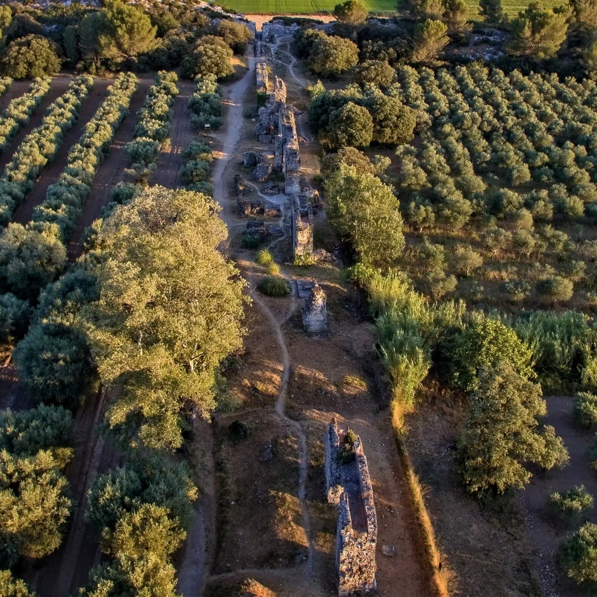 Aqueducs romains de Barbegal