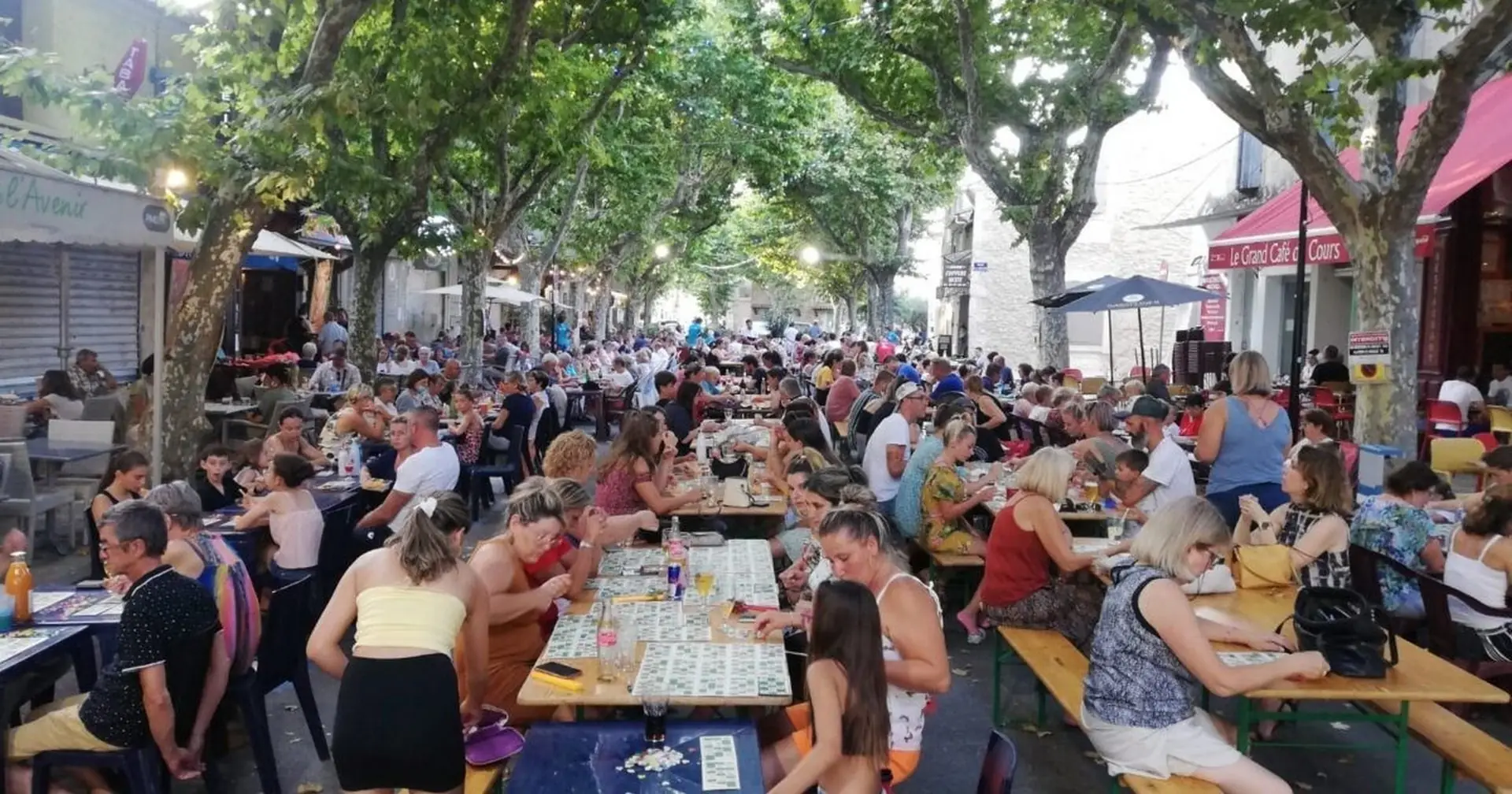Lotos d'été à Mouriès