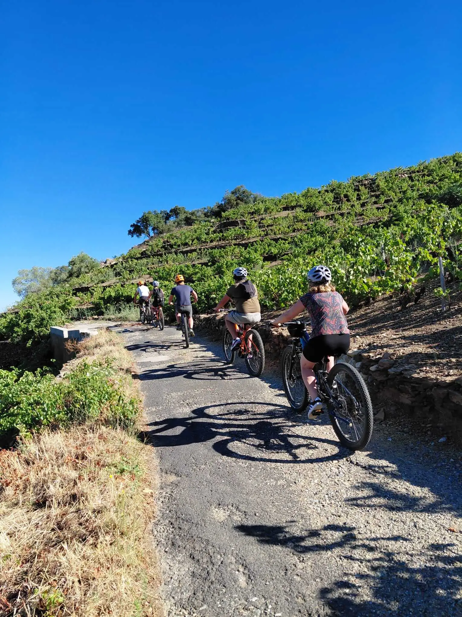 BALADE OENOTOURISTIQUE EN VTT ÉLECTRIQUE À COLLIOURE