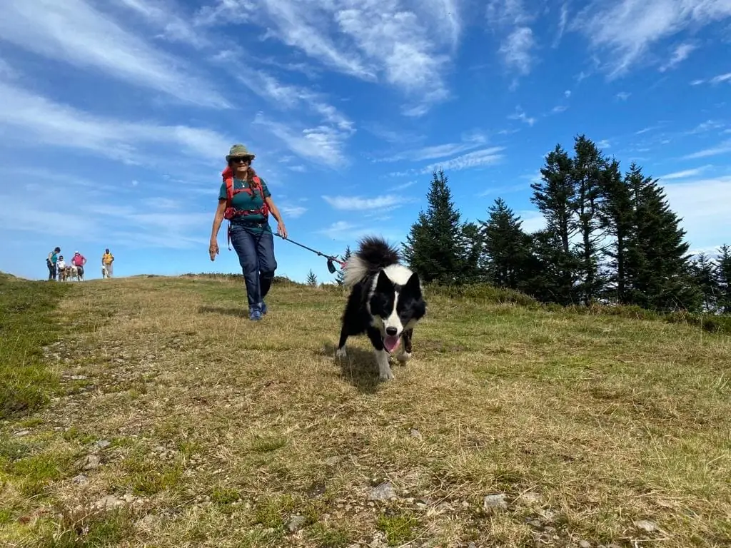 Randonner avec un chien nordique à La Pierre Saint-Martin