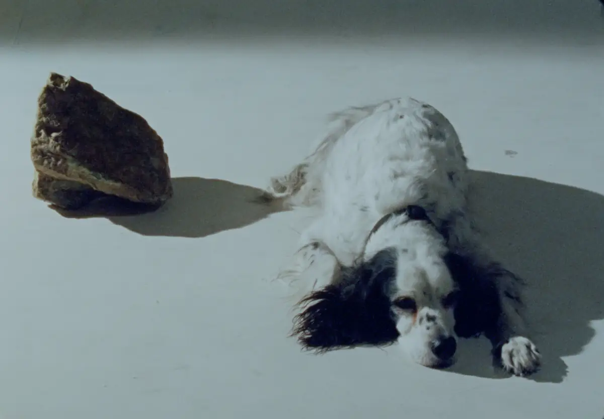 EXPOSITION : JOURS OUVRABLES DE LAIDA LERTXUNDI