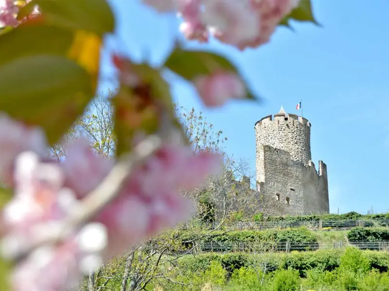 Le château de Kaysersberg