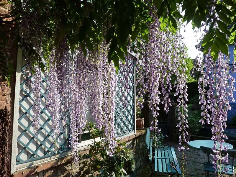 Visite découverte des jardins de la Ferme Bleue
