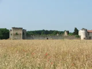 Ruines du Château de Saint-Cricq