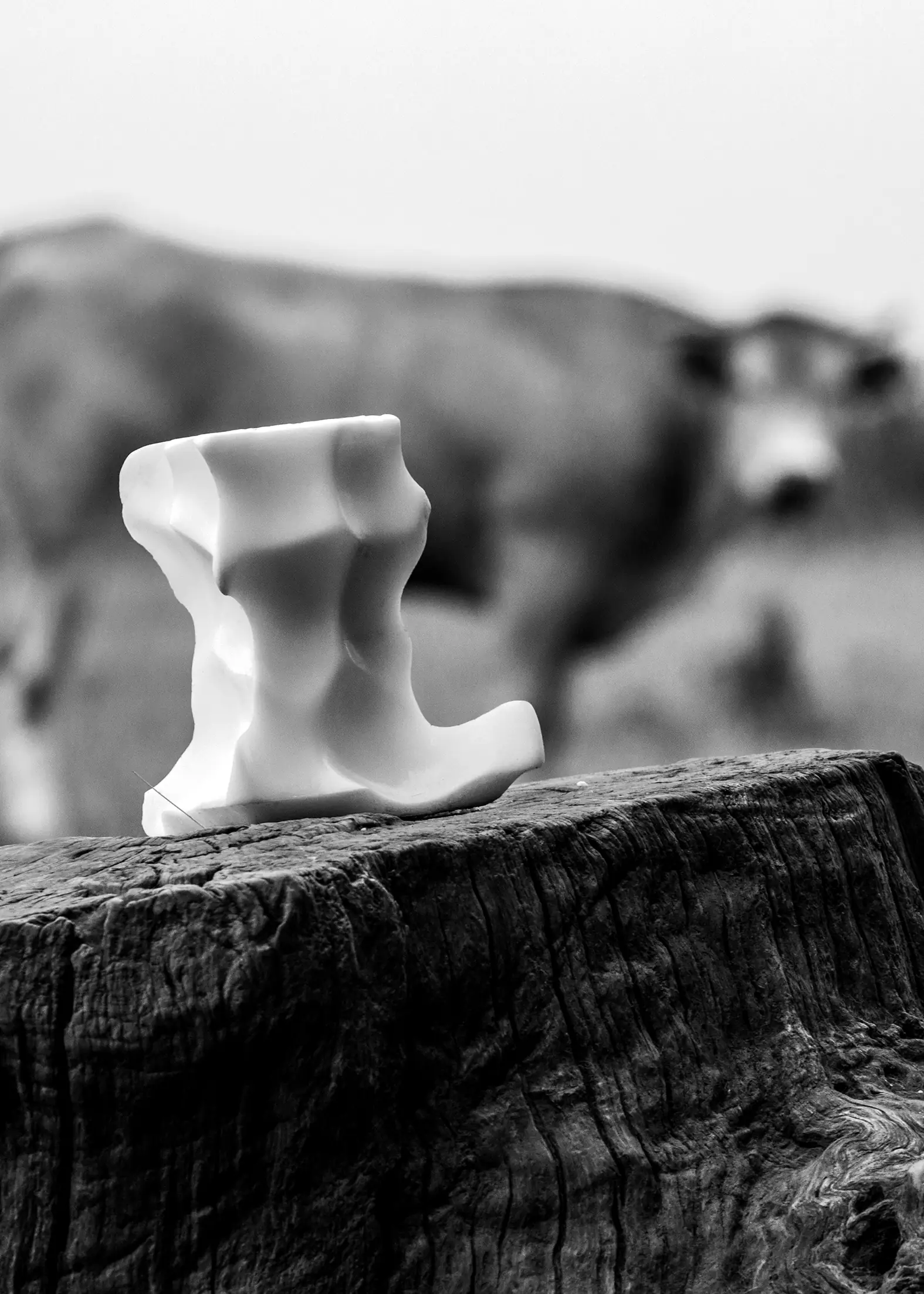 "Genèse d'une Œuvre" : Exposition de photographies à "L'Arôme"