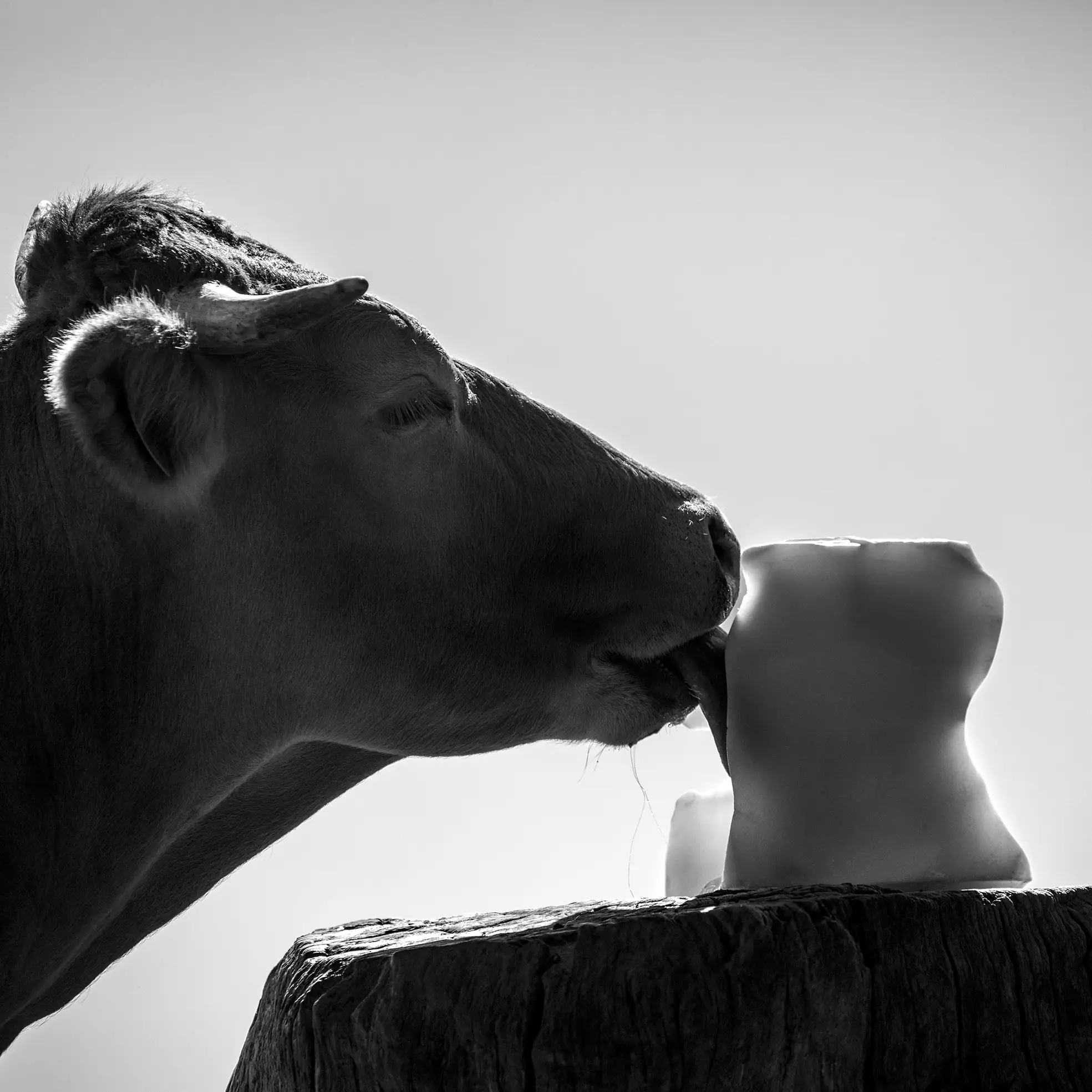 "Genèse d'une Œuvre" : Exposition de photographies à "L'Arôme"