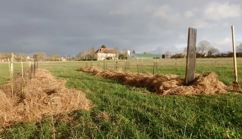 La Bergerie du Logis
