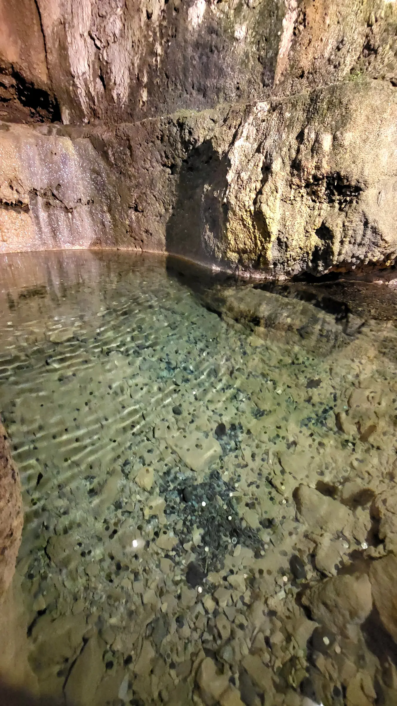 LA SOURCE DU MOULIN DE CENARET