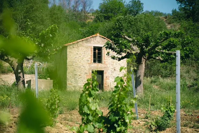PASS CANIGO : EXCURSION PATRIMOINE ET TERROIR