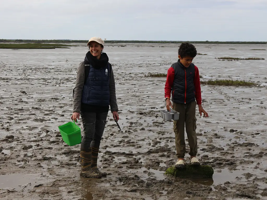 Les trésors cachés à marée basse