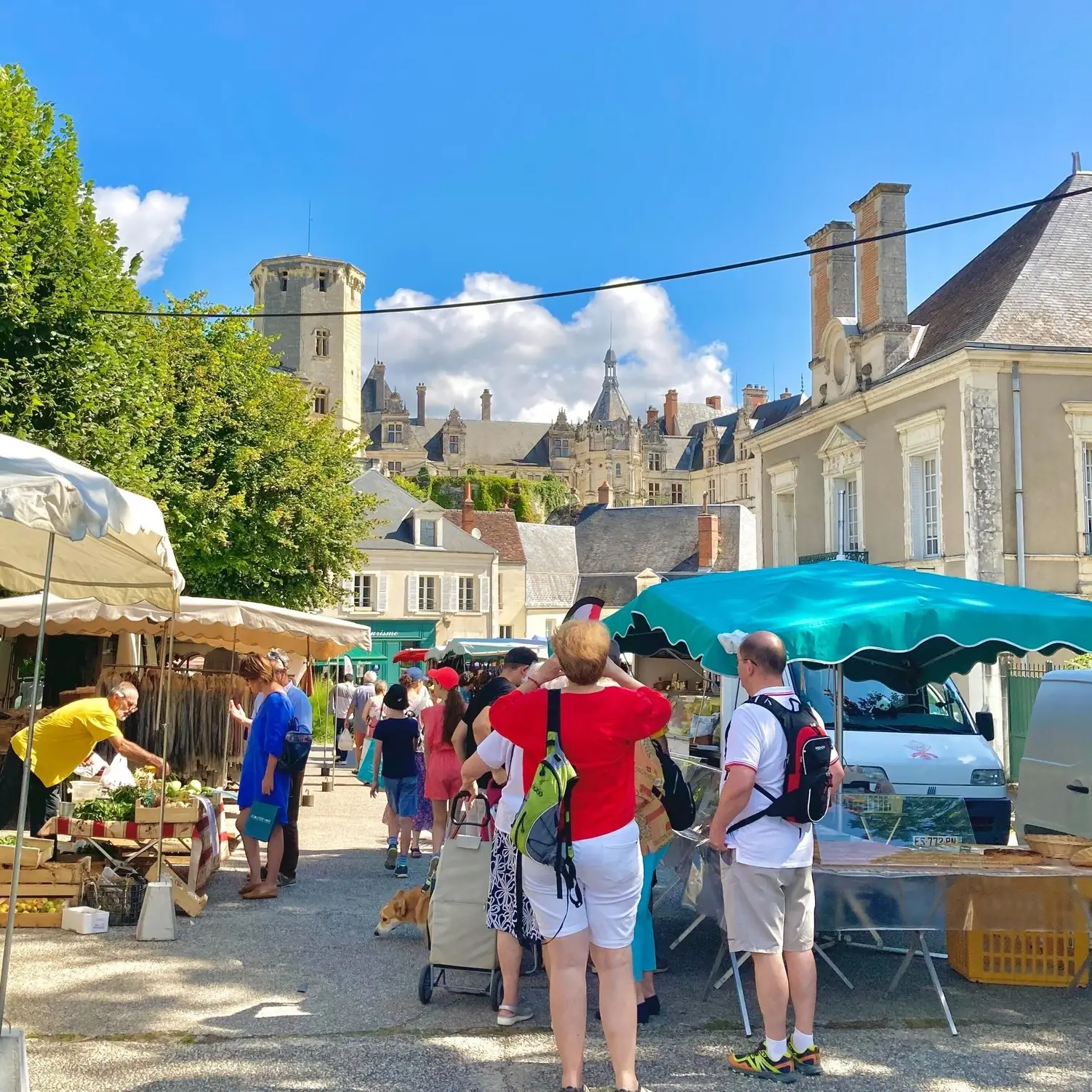 Marché hebdomadaire de Saint-Aignan